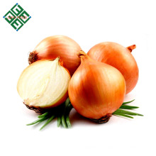 Venta caliente cebolla roja fresca / cebolla amarilla 4 - 6 cm 5 - 7 cm 8 - 10 cm de Shandong China